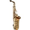 YIWENG Sax alto,Sassofono contralto Mib Ottone laccato Sax contralto Strumento a fiato con custodia per il trasporto Guanti Cinghie Panno e spazzola per pulizia Ance mute per sassofono Cuscinetto per