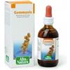ALTA NATURA-INALME Srl Gemmavis Vischio Alta Natura 50ml