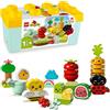 LEGO DUPLO Biogarten 10984