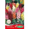 Germisem Magic Carpet Mix Semi di Snapdragon 0.8 g