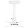 Multibrackets 3149 supporto per proiettore Soffitto Bianco