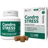 INNOVET ITALIA Srl CONDROSTRESS Mobility 60Chews