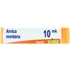 BOIRON Srl BO.ARNICA MONTANA XMK DOSE