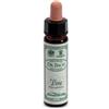SANTIVERI Sa AINSWORTHS PINE 10ML