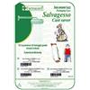 Farmacare Salvagesso 6 pezzi - Tipo: Braccio