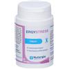 LABORATOIRE NUTERGIA Ergystress 60 Capsule - Integratore Alimentare di Magnesio, Vitamine B e Oligoelementi