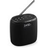 Pure Woodland - Mini altoparlante esterno con radio Bluetooth e DAB+/FM (impermeabile IP67, resistente, portatile, batteria da 17 ore, perfetto per giardino e campeggio), colore: Nero