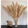 XCMVCN 15 pezzi 100 cm di grande erba di pampa, bouquet di fiori secchi naturali e soffici erba di Pampa XXL, decorazione per la casa bohémien, decorazione da parete, tavolo, matrimonio, camera da letto
