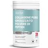 VitaBright Collagene Integratore Polvere 500g/50 Dosi, Peptidi di Collagene Idrolizzato Grass Fed, Collagene da Bere Per La Pelle/Capelli/Ossa/Articolazioni (Colageno Donna) Collagen VitaBright/Collagene Polvere