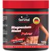 fairvital Active Sports Magnesio Malato in polvere, 500 g, con 1125 mg di magnesio per dose giornaliera, qualità testata e ad alto dosaggio, 100% vegano, Made in Germany