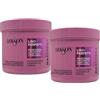 FEI FAN Maschera Lisciante Per Capelli Crespi e Indisciplinati -LISCI PERFETTI- Con Olio Di Camelia e Advanced Liss Complex. Formula Professionale Con Acido Ialuronico 500ml (2 Unità)