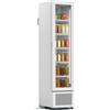 D.L. SERVICE Vetrina refrigerata - Temperatura 0°C+7°C - Litri 170 - Cm 43.5 x 51.7 x 183.2