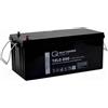 Quality Batteries Q-Batterie 12LC-200 12V 214Ah batteria al piombo tipo AGM - Ciclo profondo