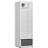 Vetrina Verticale Frigo Bibite Positiva Ventilata - Nora 280 - Tn 280 Litri - Temp. +1°c / +10°c - Dim. Cm L54xp57xh172,5