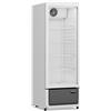 Vetrina Verticale Frigo Bibite Positiva Ventilata - Nora 240 - Tn 240 Litri - Temp. +1°c / +10°c - Dim. Cm L54xp57xh152,5