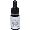 ALKAEST Srl QUINTESSENZA Q23 ASSENZIO 10ML