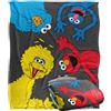 LOGOVISION Sesame Street Coperta, 152 x 127 cm, con personaggi a tutto tondo, super morbida al tatto