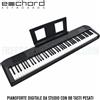 FBT ECHORD DP1 Pianoforte digitale con 88 tasti Pesati da Studio + pedale sustain