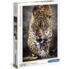 Clementoni Puzzle, Cartone, Multicolore, 1000 Pezzi