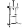 Conceptronic Equip 650605 Supporto per display espositivi 2,54 m (100") Alluminio