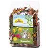 JR FARM Campo estivo 100 g