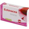 KOS Srl Echinacea estratto secco 60 compresse - KOS - 905891305
