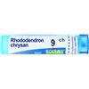 BOIRON Srl Rhododendron chrysan 9ch gr - BOIRON - 800162087