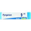 Pyrogenium 9ch gr - BOIRON - 800024539