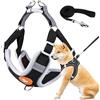 Cutiolly Pettorina Cane Taglia Piccola,Pettorina Cane,Pettorinas per Cani Guinzaglio,Pettorinas Regolabile Canes,con Morbida Imbottito,XS