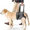 PORFOYO Imbracatura per Cani per Zampe Posteriori, Pettorina Di Supporto Posteriore Con Impugnatura, Imbracatura Cane Zampe Posteriori, Pettorina Morbida Regolabile per Feriti Di Piccola, Media Grande (L)