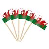 AhfuLife 100 Bandiera Stuzzicadenti Gallese da Cocktail, Bandiere Stuzzicadenti per Panini, Cibo, Tazze di Carta, Torte, Frutta, Forniture per Feste, Decorazioni Bar (100 pezzi, Gallese)