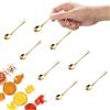 GlamRays 8 Pezzi Tiny Cucchiai di Acciaio Inox per Barattoli di Spezie, Mini Taglia 7,5CM, Carini Piccoli Cucchiai di Acciaio per Spezie, Sale, Piccole Palette Divertenti(Oro)