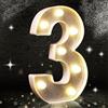 Aslanka Numero 3 argento glitter decorazione LED luce, numero luci glitterate, adatto per feste di compleanno, baby shower, sfondo matrimonio decorazione della casa, 21,5 cm argento numero 3 (bianco caldo)