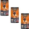 LEONARDO Adult Duck | Confezione Tripla | 3 x 300 g | Cibo secco per gatti adulti da un anno | Per supportare la pelle e il pelo | Con semi di chia e delicato krill