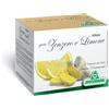 INFUSO Tisana Zenzero Limone 20F
