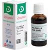 CEMON Srl Pilosella - Tintura Madre 30ml: Integratore Naturale per il Benessere delle Vie Urinarie