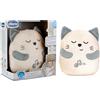 CHICCO TOYS Gattino Dolce Fusa: Morbido Compagno per la Nanna First Dreams