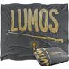 LOGOVISION HARRY POTTER Coperta, super morbida al tatto, 152 x 127 cm