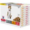 Hill's Science Plan Adult Sterilised Crocchette con pollo per gatto - integrazione: 12x85g Hill's Science Plan Young Adult Sterilised Pollo & Salmone
