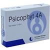 BIOGROUP SPA SOCIETA' BENEFIT PSICOPHYT REMEDY 4A 4TUB 1,2G