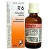 DR.RECKEWEG & CO. GmbH Reckeweg R6 22ml Gocce - Medicinale Omeopatico per Sindromi Influenzali