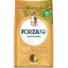 SANYPET SpA Forza10 Mantenimento Pollo e Patate Crocchette Cani Adulti 12kg