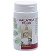 elekea GALATEA PLUS 100CPS