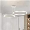 YYUTLUO Lampadario LED Moderno DIY Cerchio | 2 Bianco Anelli :40+60cm=40W | Illuminazione A Sospensione LED In Metallo+Acrilico Telecomando Dimmerabile Lampada Sospensione Soffitto Rotondo