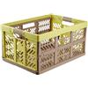 keeeper 4x Robusti Box Contenitori Pieghevoli con Impugnature Soft-touch, 54 x 37 x 28 cm, 45 L, Ben, Verde/Taupe