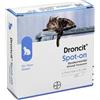 Droncit Spot-on 20 mg Soluzione Spot-on Per Gatti