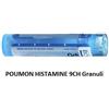 Boiron POUMON HISTAMINE 9 CH GRANULI