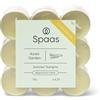 Spaas 10 x 18 Tealight alla Citronella Asian Garden, 4.5 Ore, Colore Verde Pistacchio