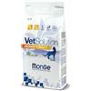 Croccantini per gatti Monge VetSolution Urinary Struvite 1,5Kg
