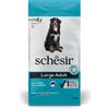 Schesir Croccantini per cani Schesir Adult Large con pesce 12Kg - Scadenza 29 Ottobre 2025